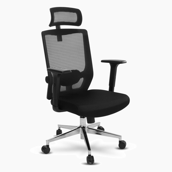 Inbox Zero Letecia Ergonomic Mesh Task Chair with Headrest Wayfair